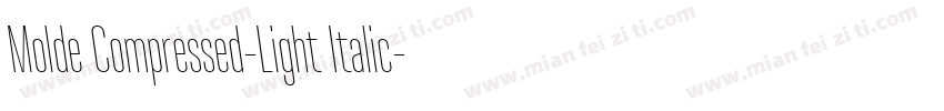 Molde Compressed-Light Italic字体转换